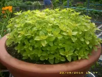 JD800015.webp