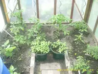 JD800017.webp