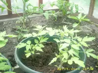 JD800020.webp