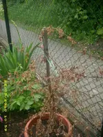 JD800004.webp