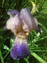 DSC01241.webp
