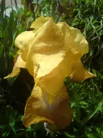 DSC01242.webp