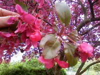 13-05-10_1502.webp