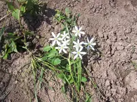 100_4223.webp