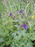 DSCF4779.webp