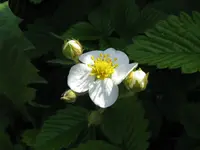 IMG_5212_1024x768.webp