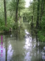 PIC00008.webp