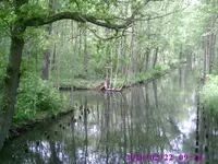 PIC00010.webp