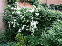 web_Garten Vera-14.webp