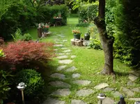 DSC02444.webp
