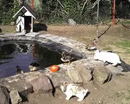 verschiedenes 002.webp