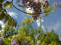 DSC04147.webp