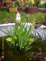 JD500040.webp