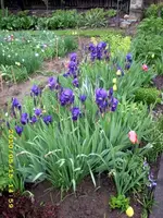 JD500077.webp