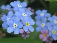 022.webp