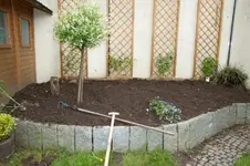 MK4_2244.webp