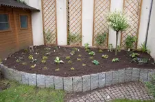 MK4_2253.webp