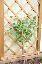 20100430080128.webp