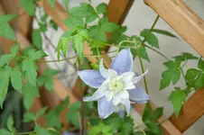 20100430080202.webp