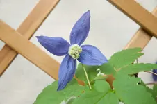 20100430080226.webp