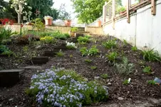 20100430075839.webp