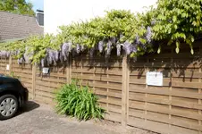 20100504161514.webp