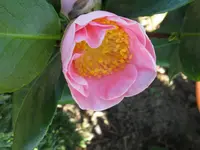 IMG_5234_1024x768.webp