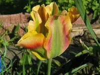 IMG_5257_1024x768.webp