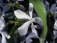 IMG_5236_1024x768.webp
