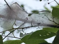 P1020053.webp P1020053.webp