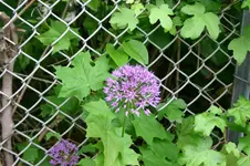 IMG_8690.webp