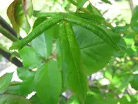 IMG_0743_s.webp