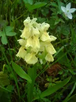 DSC01257.webp