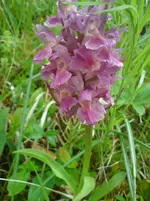 DSC01258.webp