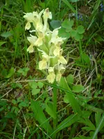 DSC01260.webp