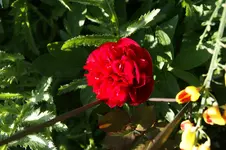 DSC02957.webp