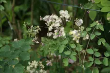 DSC02962.webp