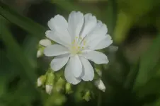 DSC02970.webp