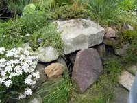 SDC11012.webp