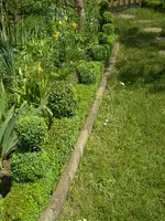 SDC11007.webp