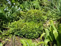 SDC11008.webp
