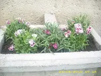 JD800005.webp