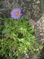 JD800007.webp