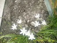 JD800008.webp