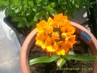 JD800010.webp