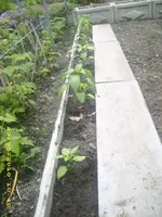 JD800014.webp