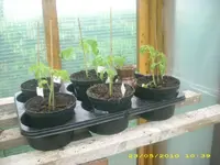 JD800012.webp