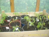 JD800013.webp