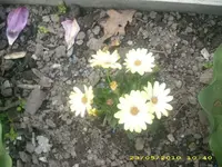 JD800015.webp
