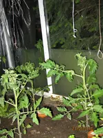 05 091.webp
